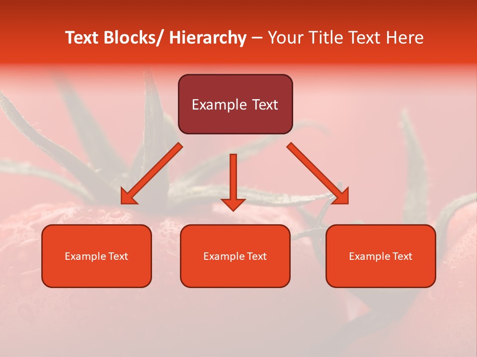 Perfect Fresh Red Wet Tomatoes With Tomato On Background, Very Soft Focus, Super Macro Shot. PowerPoint Template