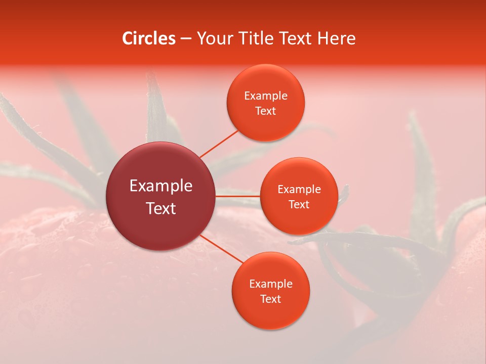 Perfect Fresh Red Wet Tomatoes With Tomato On Background, Very Soft Focus, Super Macro Shot. PowerPoint Template