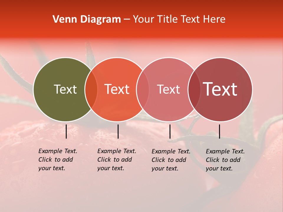 Perfect Fresh Red Wet Tomatoes With Tomato On Background, Very Soft Focus, Super Macro Shot. PowerPoint Template