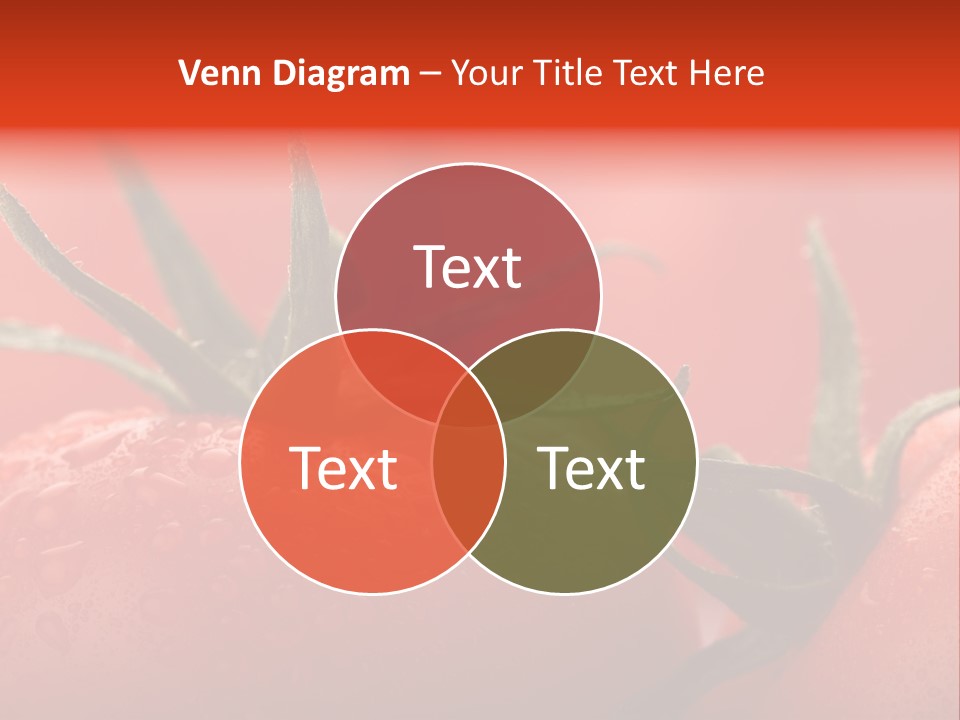 Perfect Fresh Red Wet Tomatoes With Tomato On Background, Very Soft Focus, Super Macro Shot. PowerPoint Template