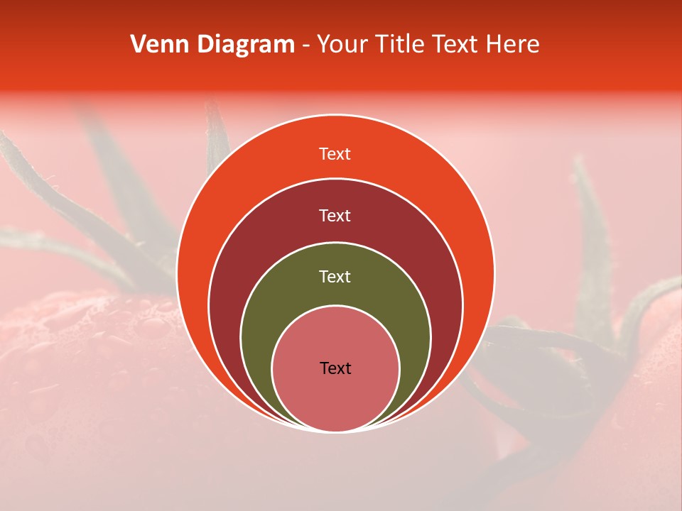 Perfect Fresh Red Wet Tomatoes With Tomato On Background, Very Soft Focus, Super Macro Shot. PowerPoint Template