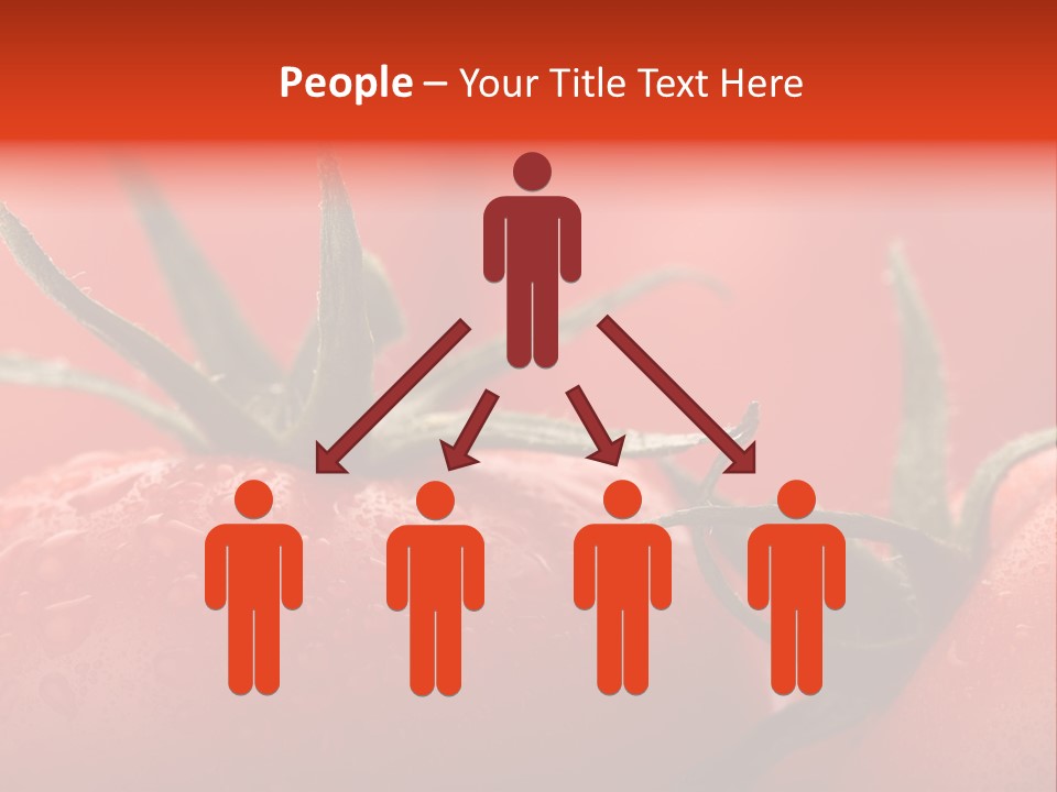 Perfect Fresh Red Wet Tomatoes With Tomato On Background, Very Soft Focus, Super Macro Shot. PowerPoint Template