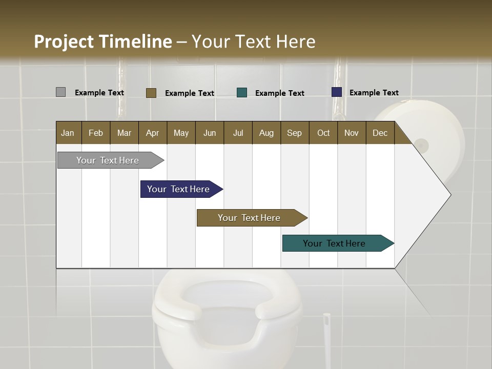 Public Toilet With Handicap Supports PowerPoint Template