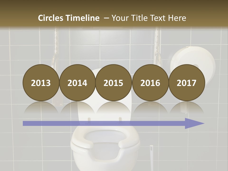 Public Toilet With Handicap Supports PowerPoint Template