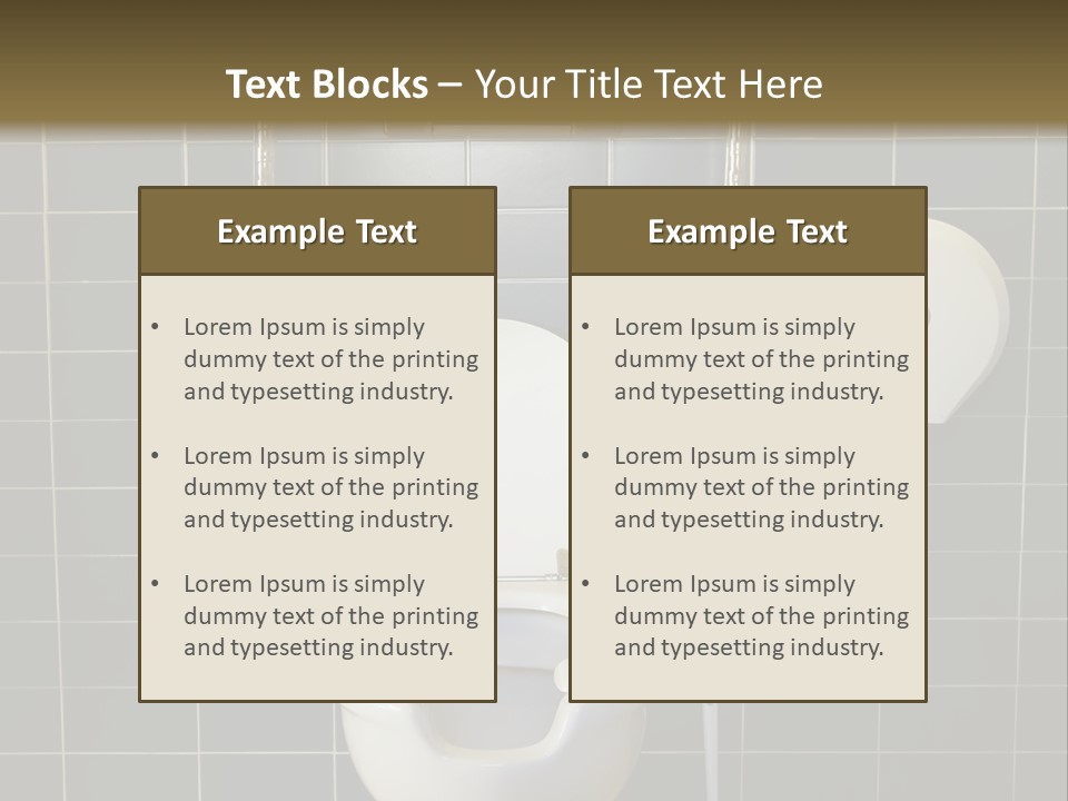 Public Toilet With Handicap Supports PowerPoint Template
