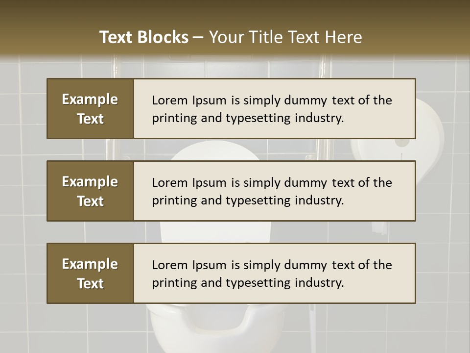 Public Toilet With Handicap Supports PowerPoint Template