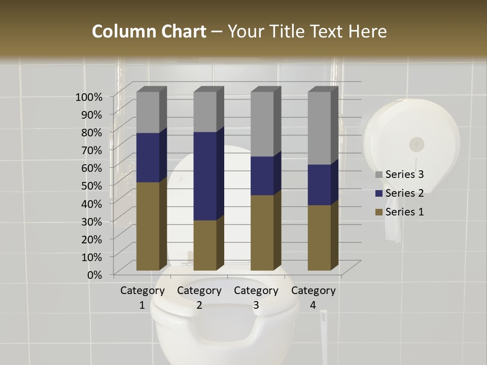 Public Toilet With Handicap Supports PowerPoint Template