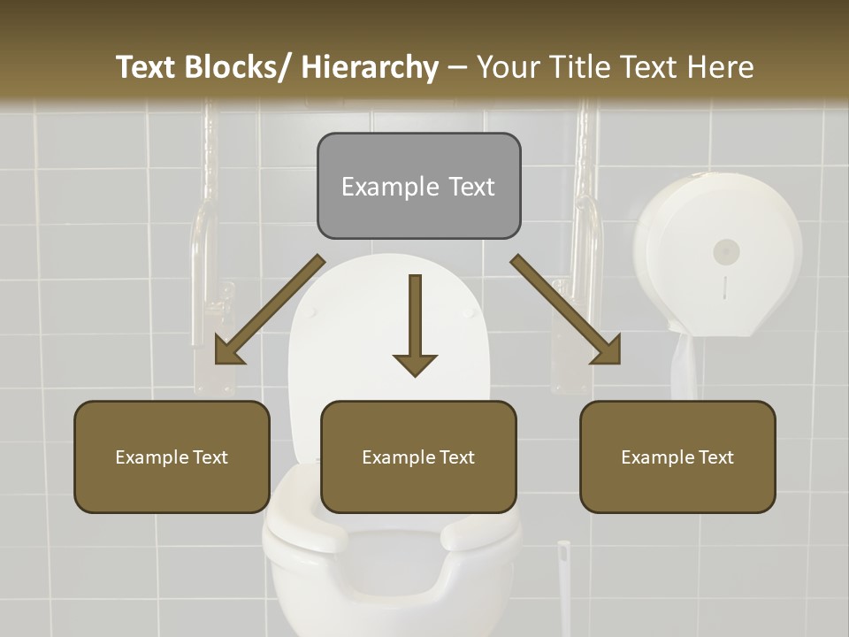 Public Toilet With Handicap Supports PowerPoint Template