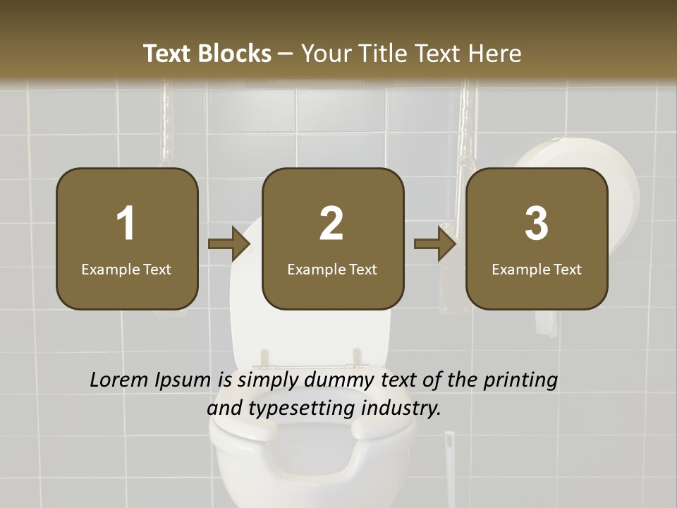 Public Toilet With Handicap Supports PowerPoint Template