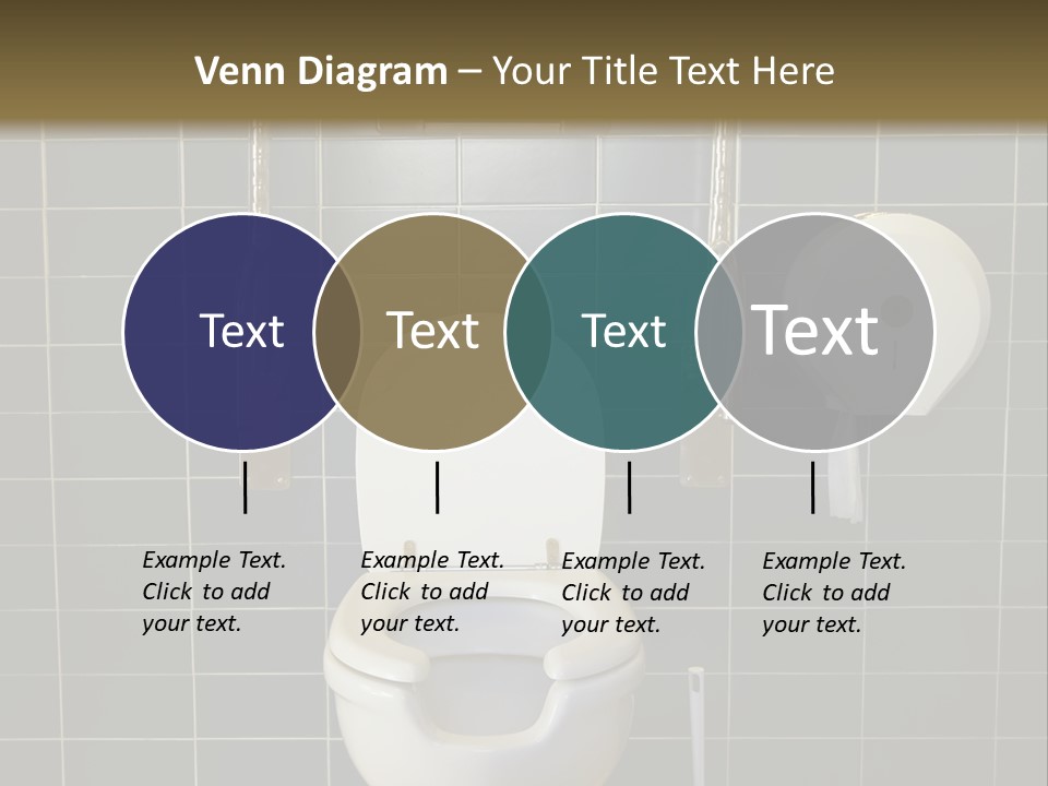Public Toilet With Handicap Supports PowerPoint Template