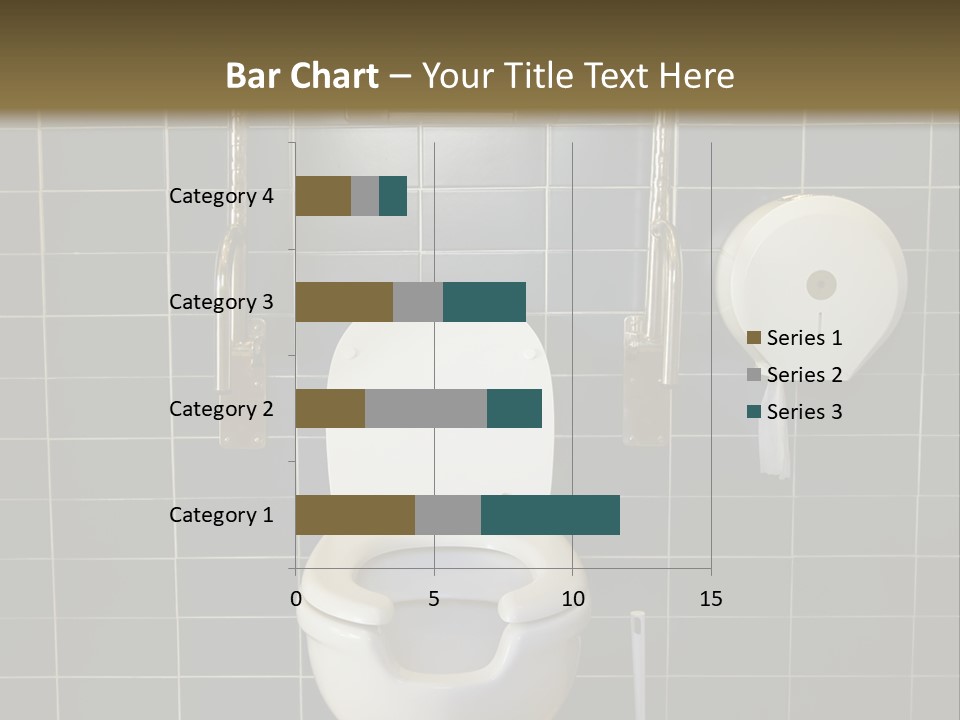 Public Toilet With Handicap Supports PowerPoint Template