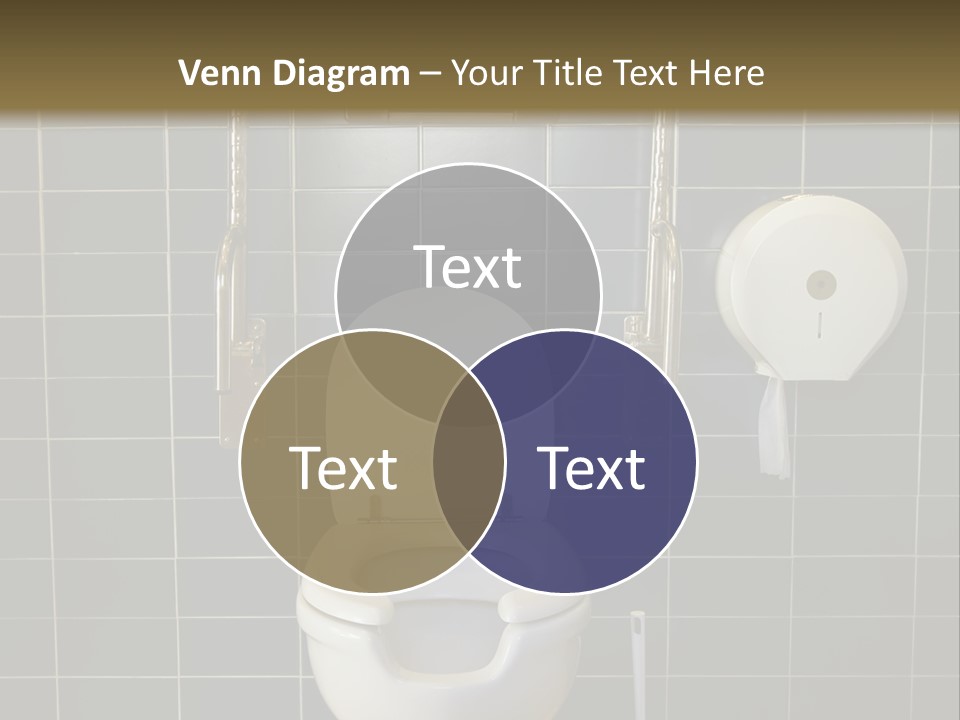 Public Toilet With Handicap Supports PowerPoint Template