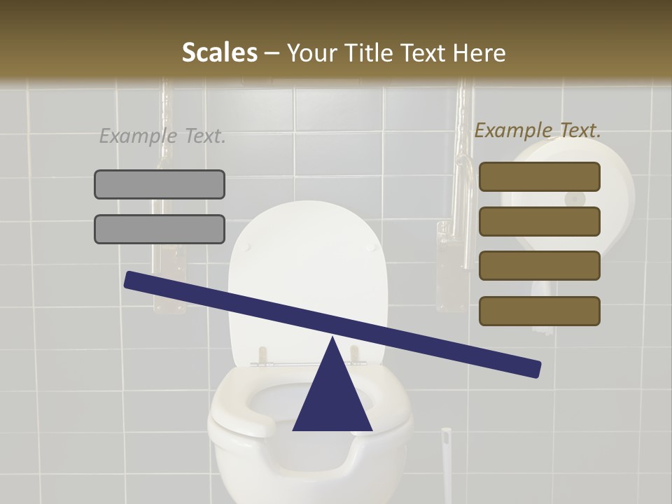 Public Toilet With Handicap Supports PowerPoint Template