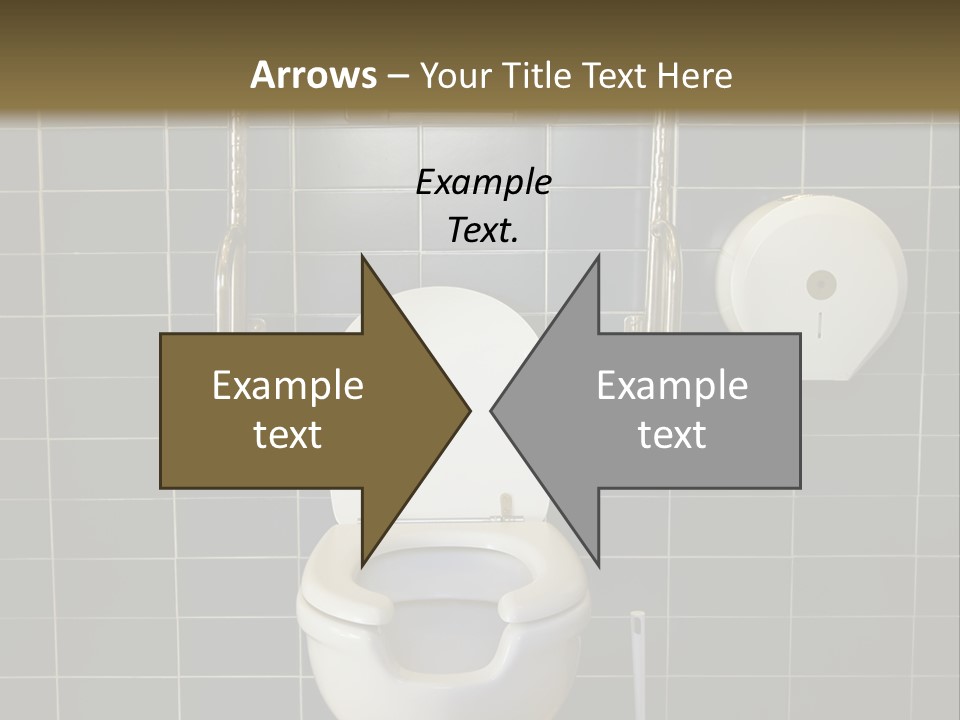 Public Toilet With Handicap Supports PowerPoint Template