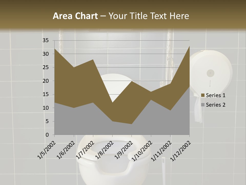 Public Toilet With Handicap Supports PowerPoint Template