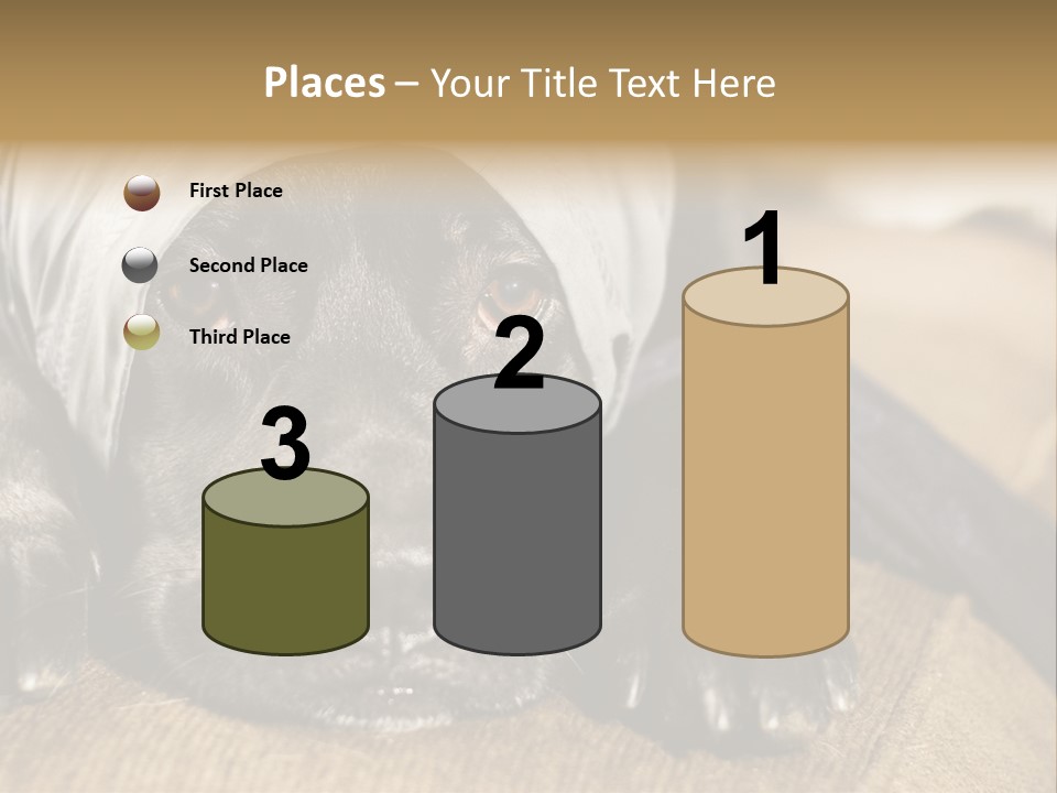 Dog PowerPoint Template