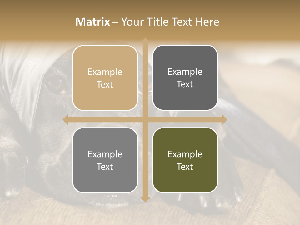 Dog PowerPoint Template