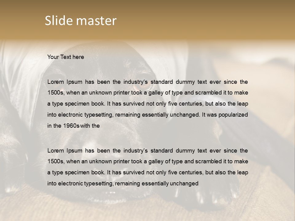 Dog PowerPoint Template