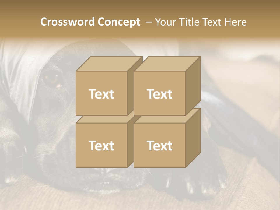 Dog PowerPoint Template