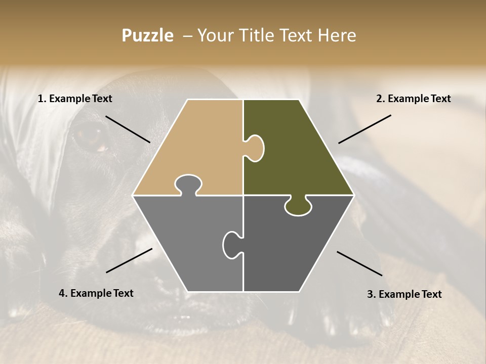 Dog PowerPoint Template