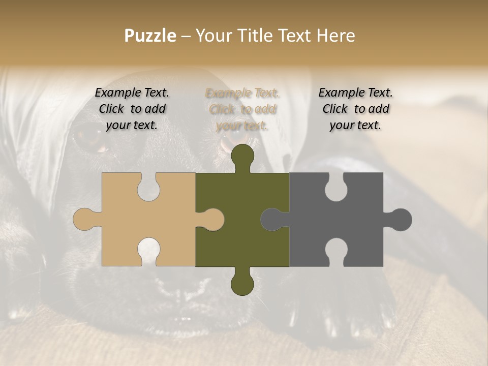 Dog PowerPoint Template