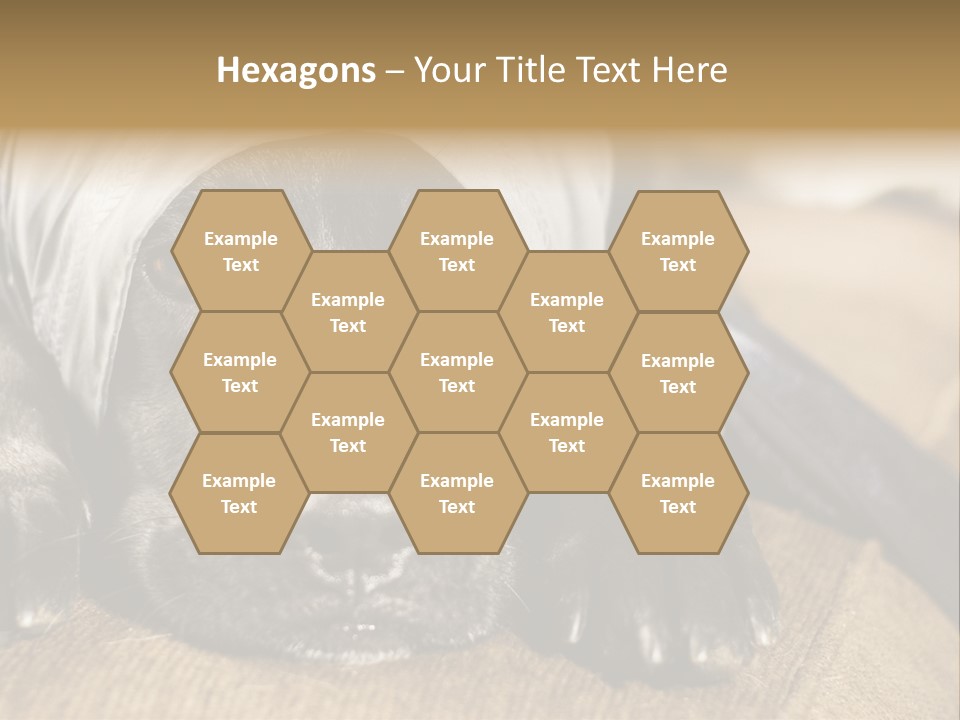 Dog PowerPoint Template