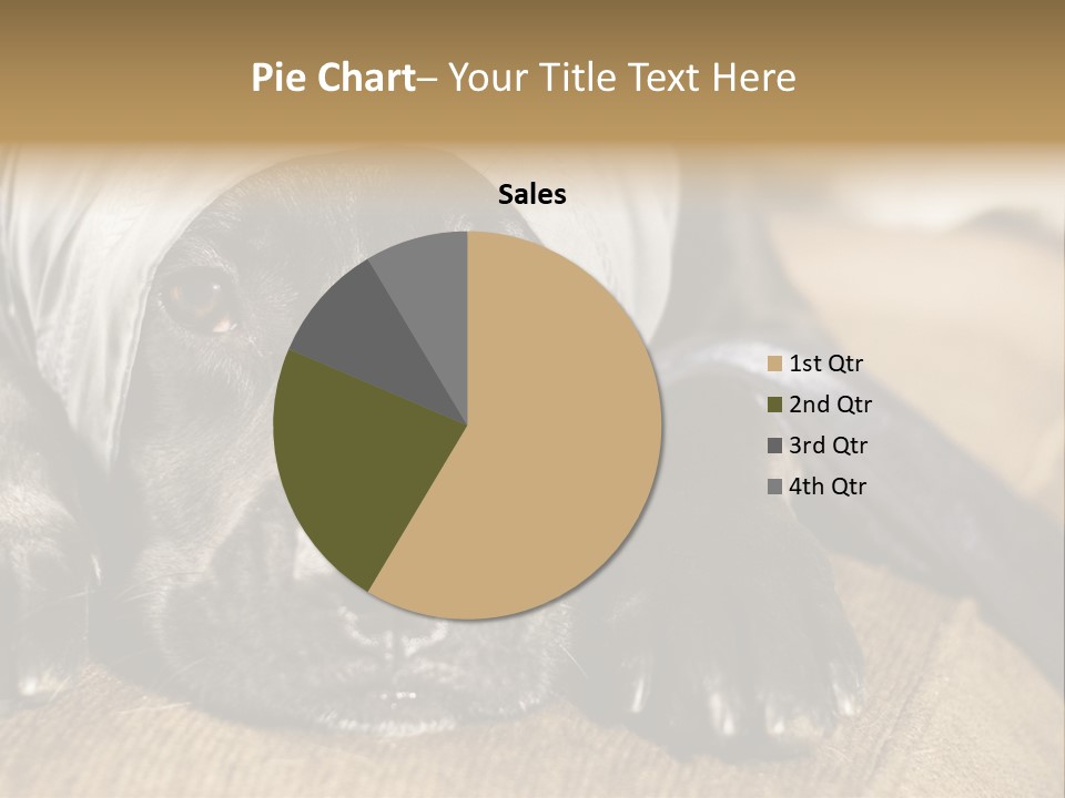 Dog PowerPoint Template