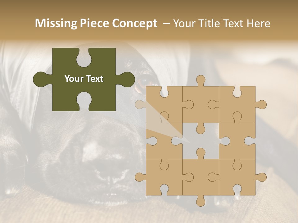 Dog PowerPoint Template