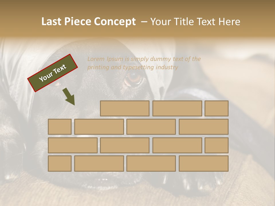 Dog PowerPoint Template