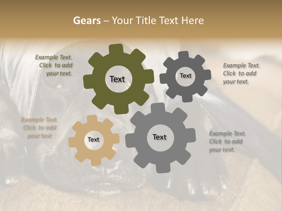 Dog PowerPoint Template