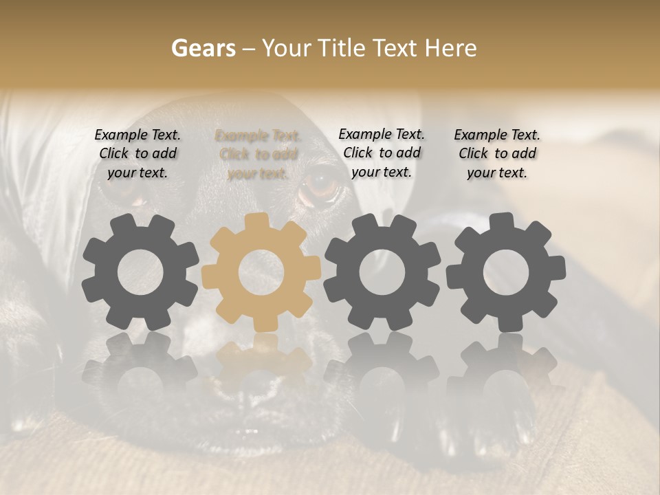 Dog PowerPoint Template