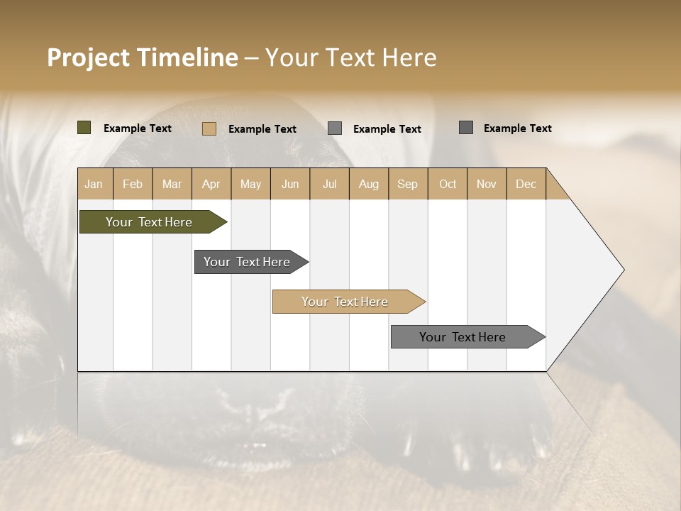 Dog PowerPoint Template