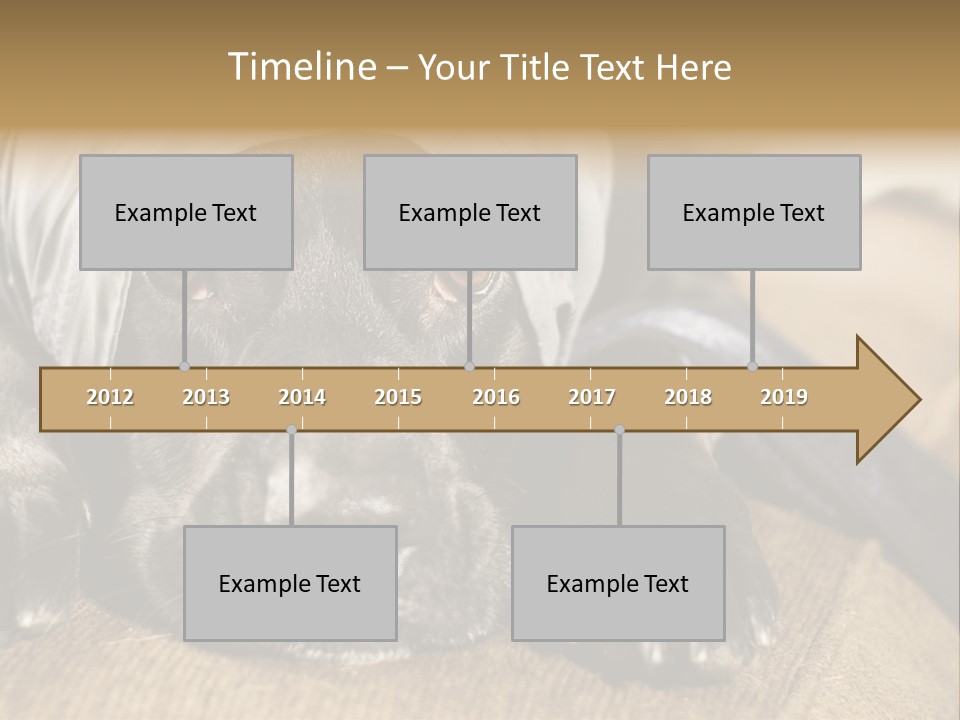 Dog PowerPoint Template