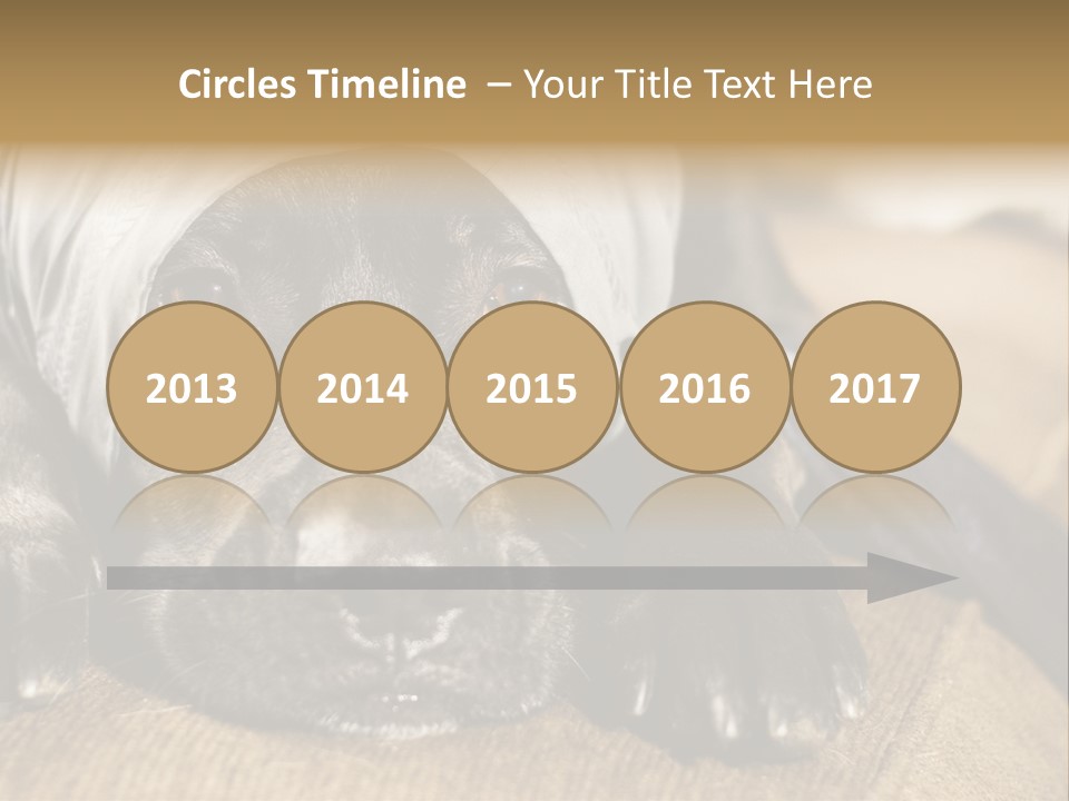 Dog PowerPoint Template