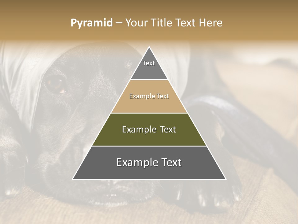 Dog PowerPoint Template