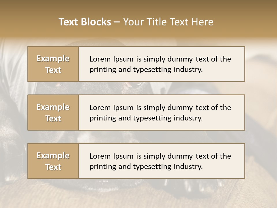 Dog PowerPoint Template