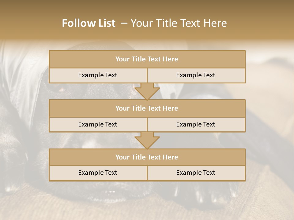 Dog PowerPoint Template