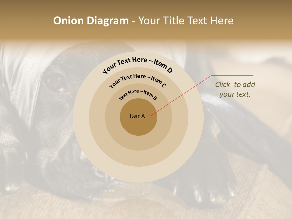 Dog PowerPoint Template