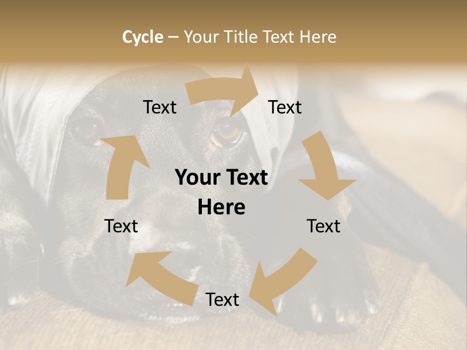 Dog PowerPoint Template