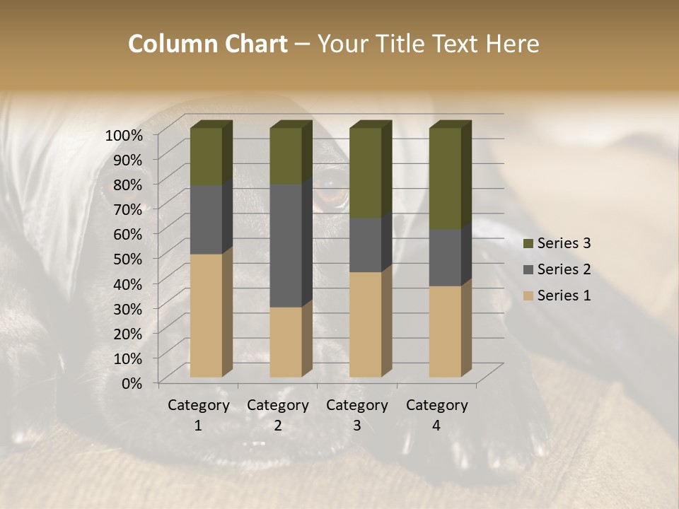 Dog PowerPoint Template