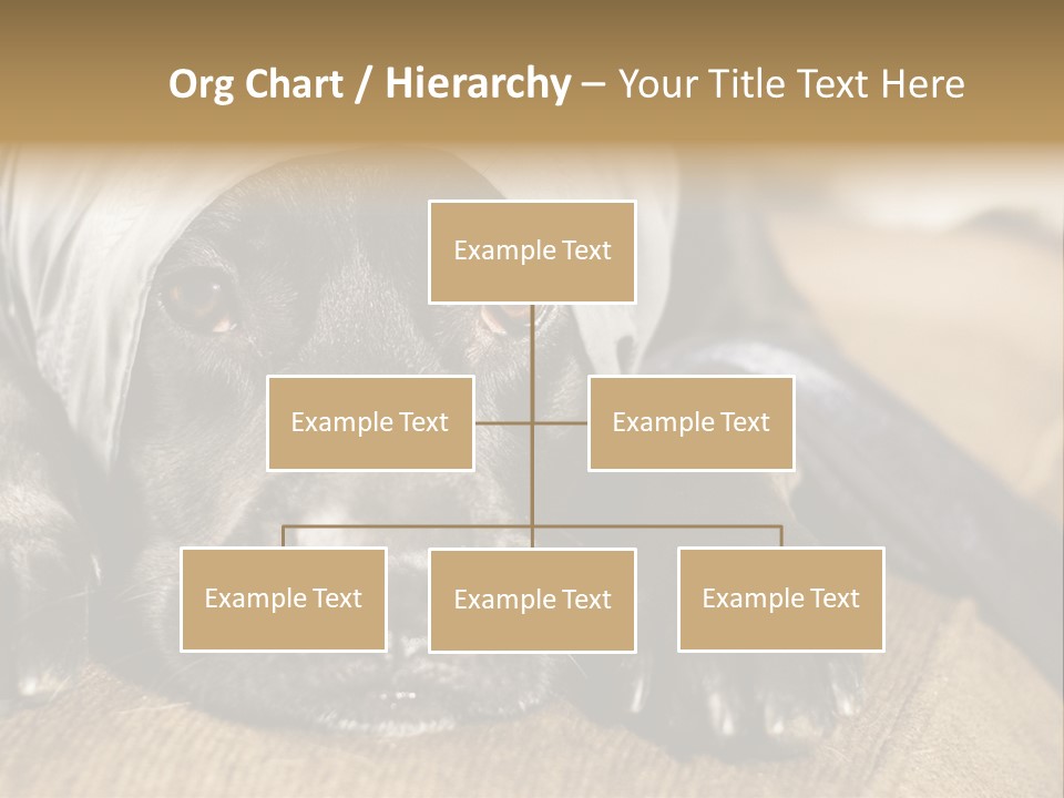 Dog PowerPoint Template