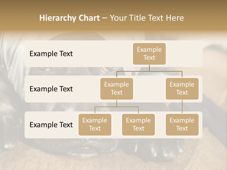Dog PowerPoint Template