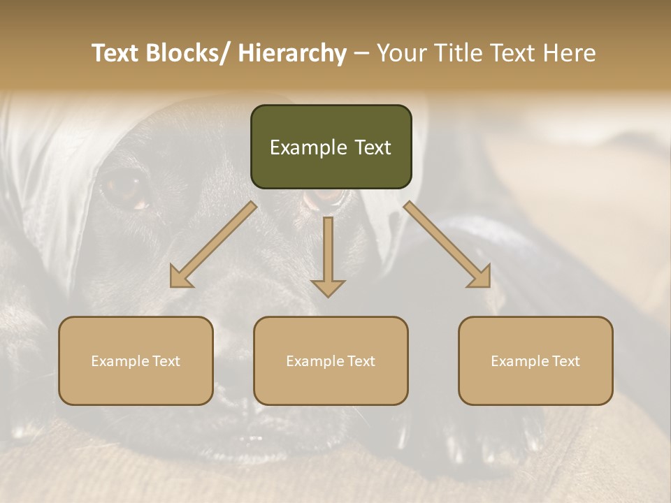 Dog PowerPoint Template