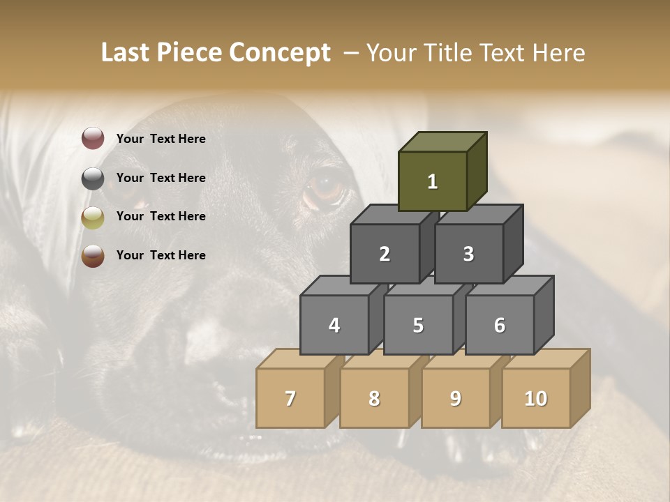 Dog PowerPoint Template