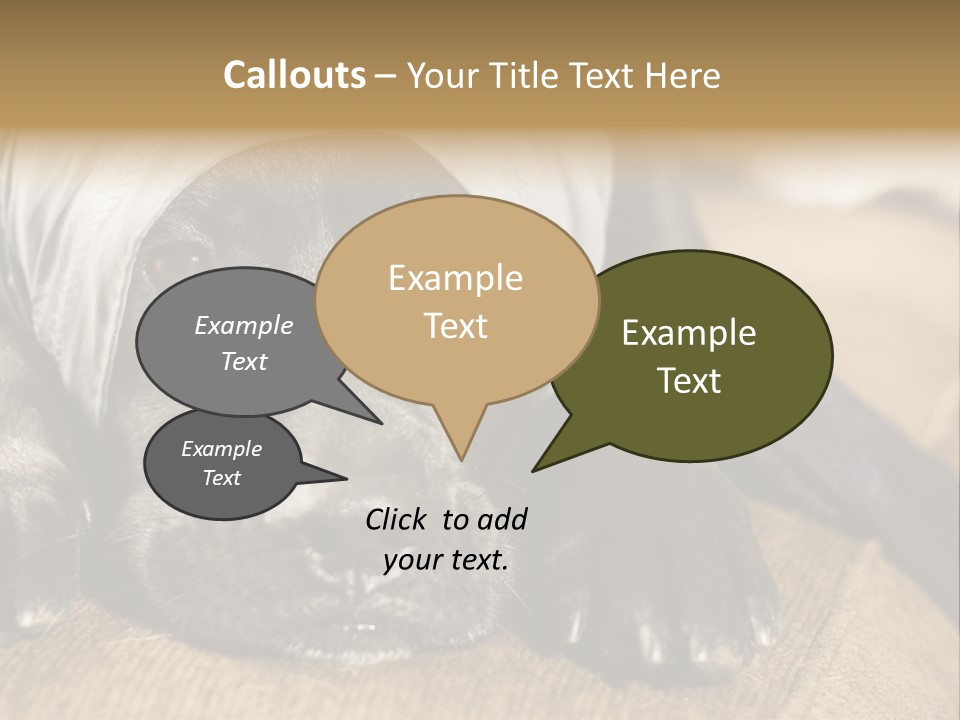 Dog PowerPoint Template