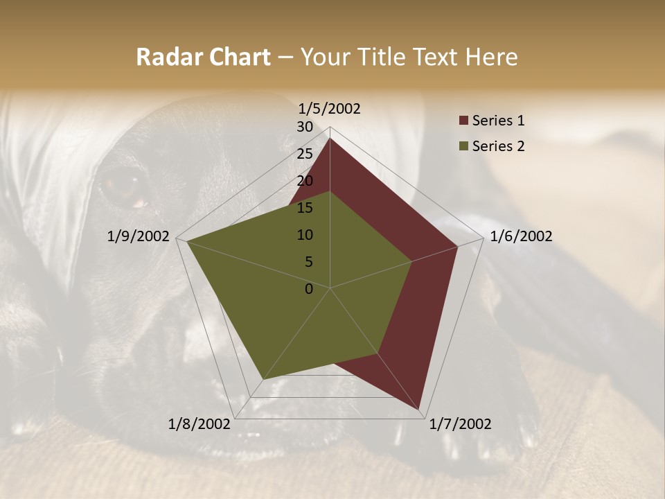 Dog PowerPoint Template