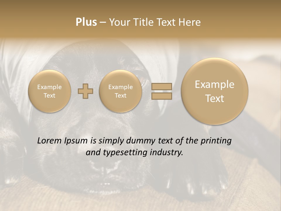 Dog PowerPoint Template