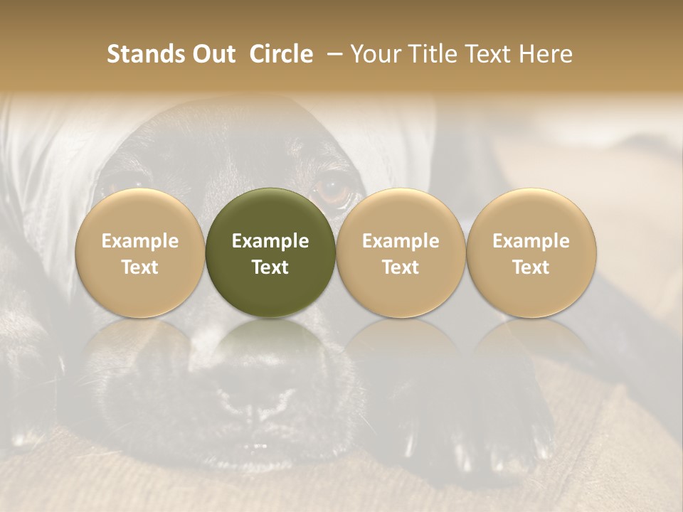 Dog PowerPoint Template