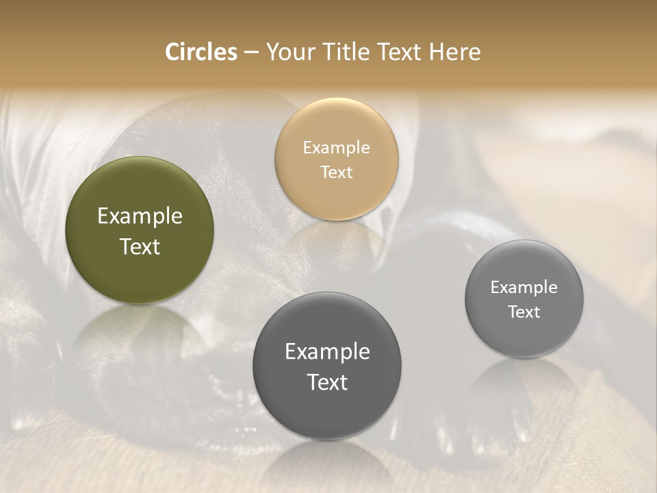 Dog PowerPoint Template