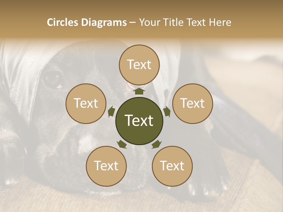 Dog PowerPoint Template